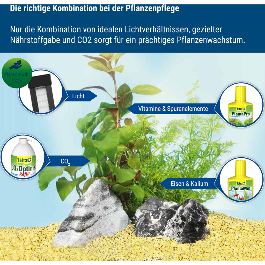 Tetra Co Optimat Kit Boutique En Ligne Olibetta