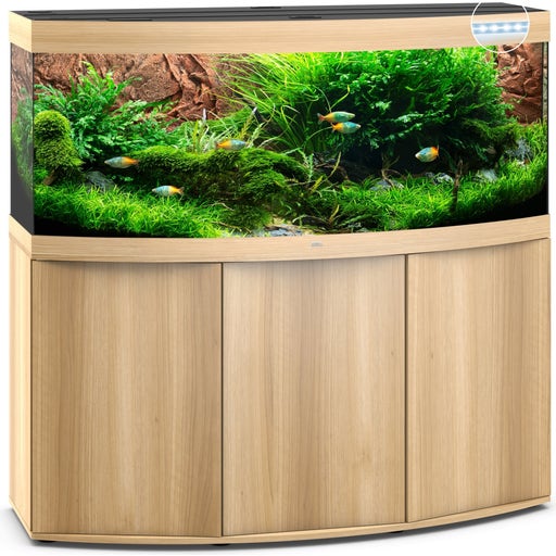 Unsere Aquarien Bestseller Olibetta