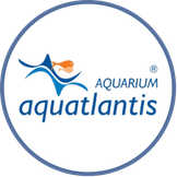 Aquatlantis