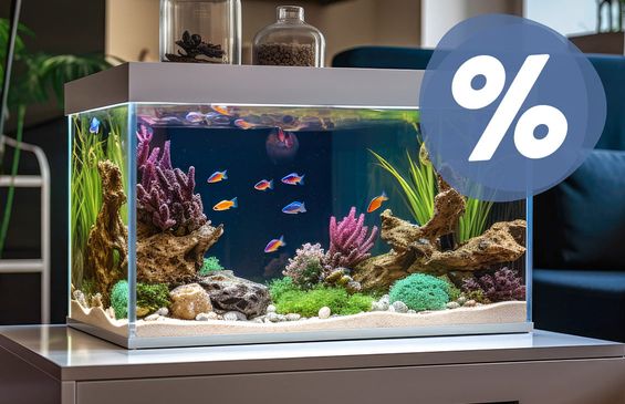 Aquariums at the best price