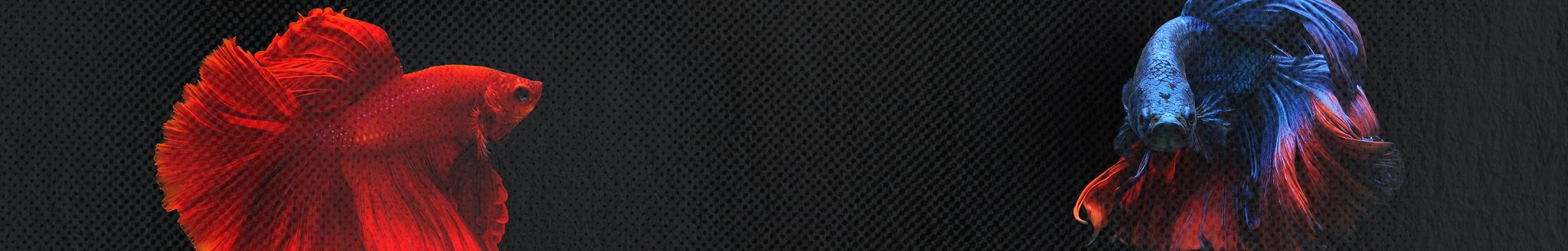 *Offerte valide fino al 01.12.2025 su articoli selezionati. Nessun codice sconto richiesto.