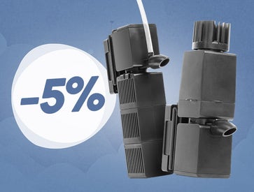 Sicce akcija: -5 %