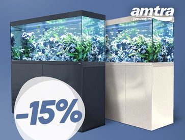Your dream aquarium awaits...