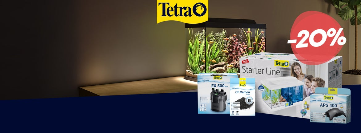 Noch kein passendes Weihnachtsgeschenk?