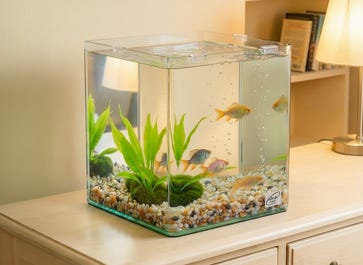 Klaar voor gebruik met de MY TANK 20 L Pro