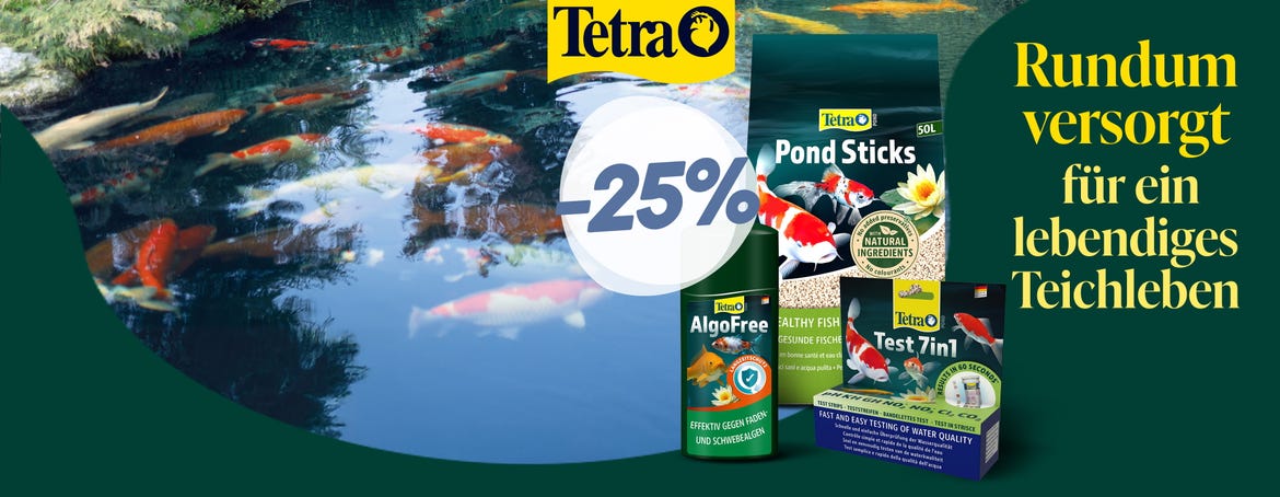 Rundum versorgt für ein lebendiges Teichleben