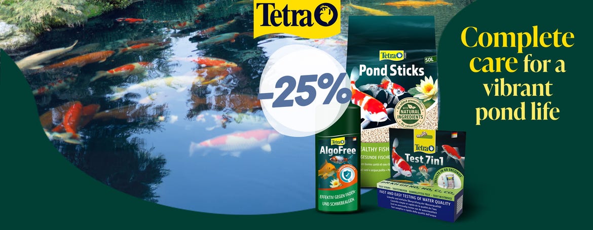 Tout le nécessaire pour un bassin resplendissant