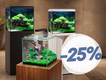 Upp till 25 % rabatt på Cubes & Tanks