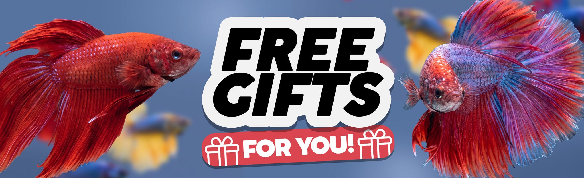 %Aktionen / Gratis-Geschenke