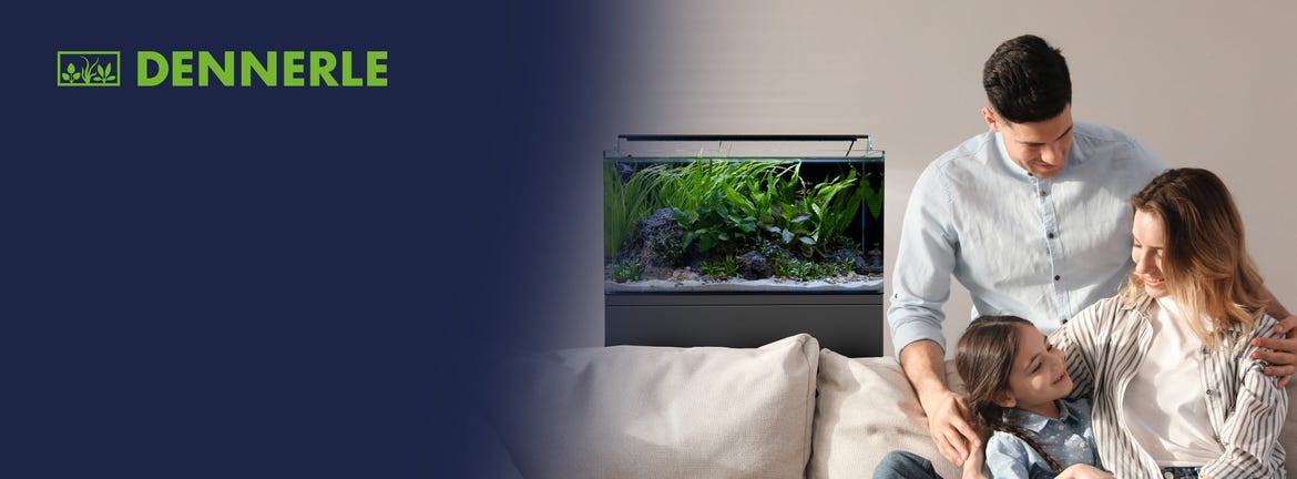 Faites entrer la nature directement chez vous