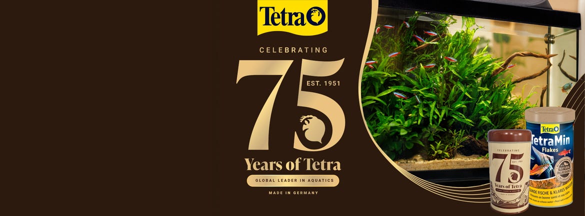 Tetra festeggia 75 anni!