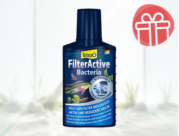 Filter Active in omaggio!