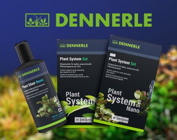 Bring dein Aquarium zum Strahlen