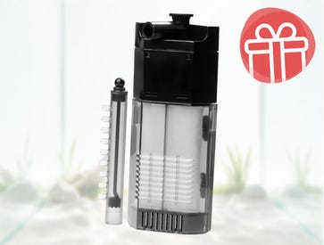 Free Filter with Your Aquarium