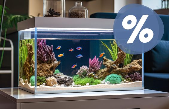 Aquariums at the best price