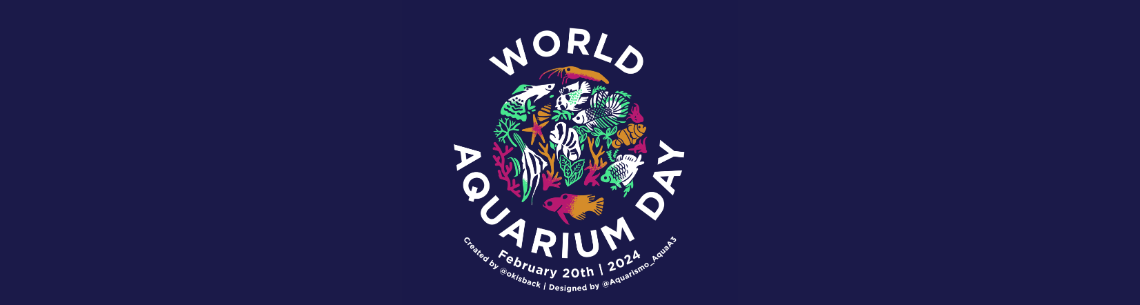 Marken / Olibetta / World Aquarium Day 2024