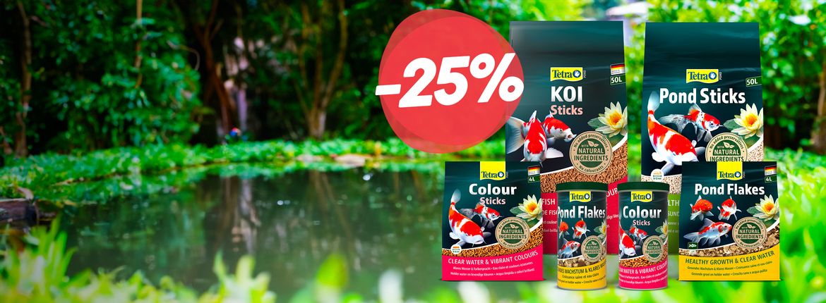 Fish Food for Koi at a Great Price