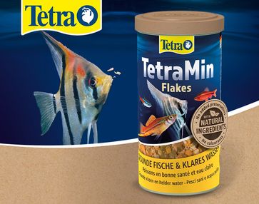 Nieuw Tetra voer voor je aquarium