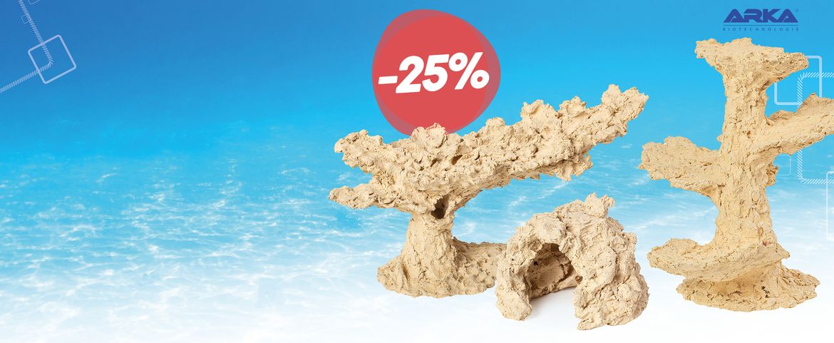 ¡Arrecifes de coral con un 25% de descuento!
