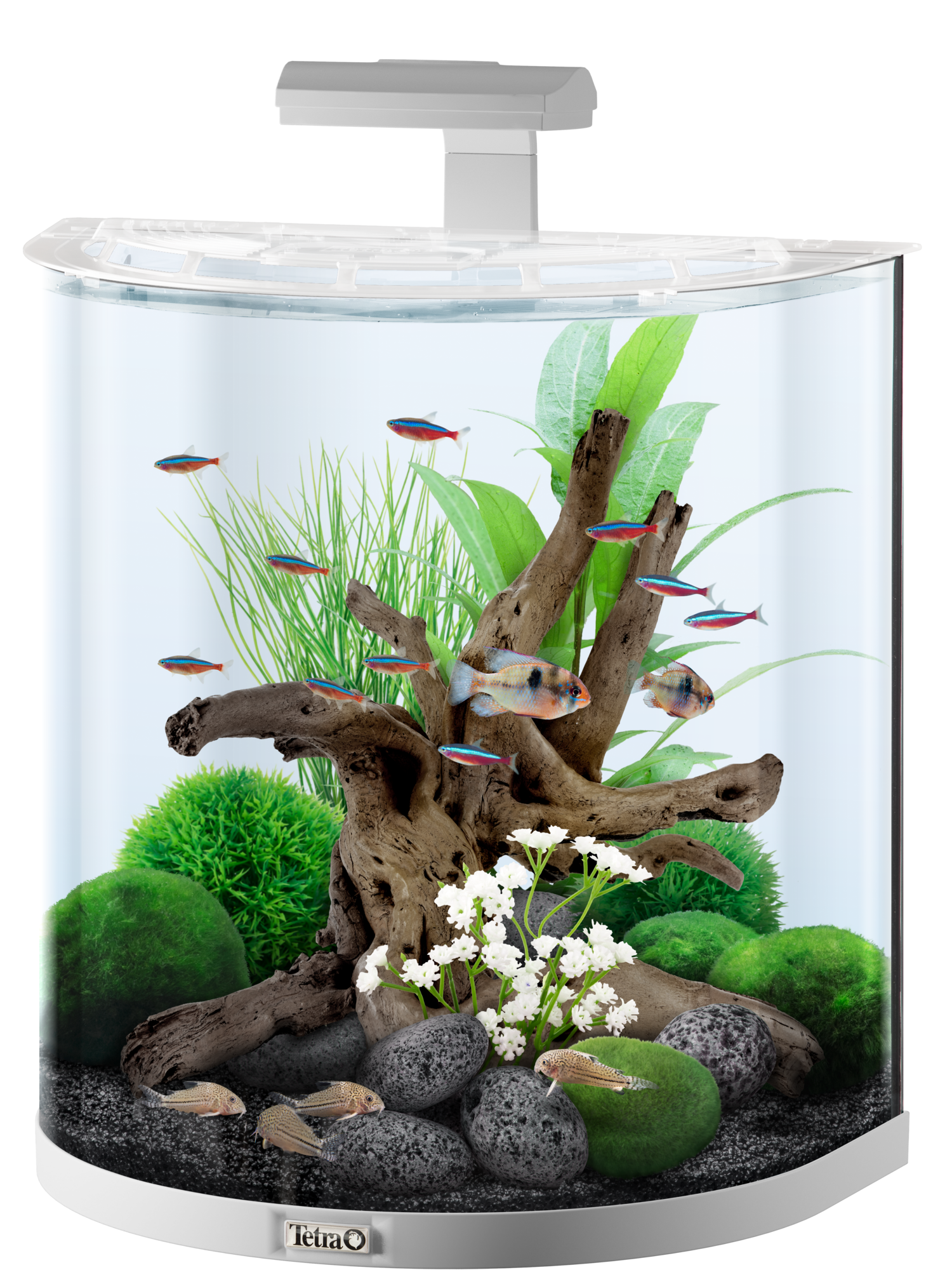 Tetra AquaArt Explorer LED 60L - Blanc