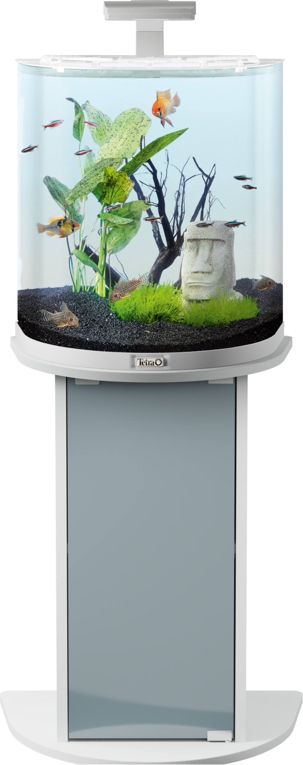 Tetra AquaArt Explorer LED 60L - Blanc