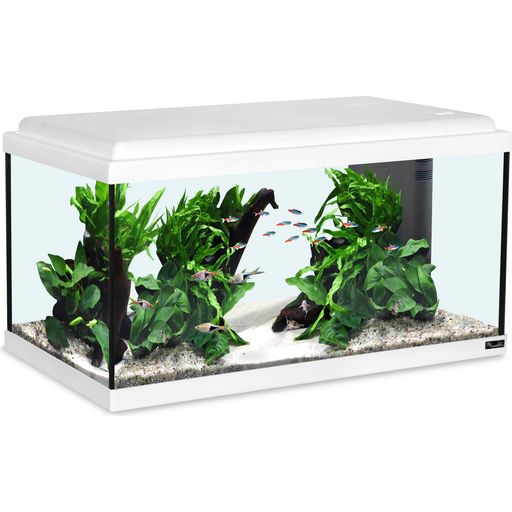 Aquatlantis Advance 60 LED Aquarienset - weiss