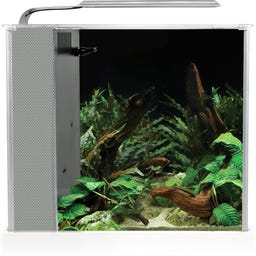 Fluval Nano Aquarium SPEC 5 Nano 10 Litres - Blanc