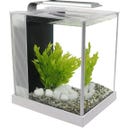 Fluval Nano Aquarium SPEC 5 Nano 10 Litres - Blanc