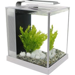Fluval Nano Aquarium SPEC 5 Nano 10 Litres - Blanc