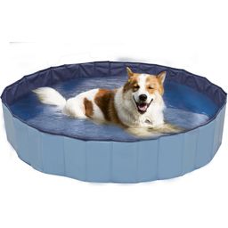 Croci Hunde Pool Explorer - 160x30 cm