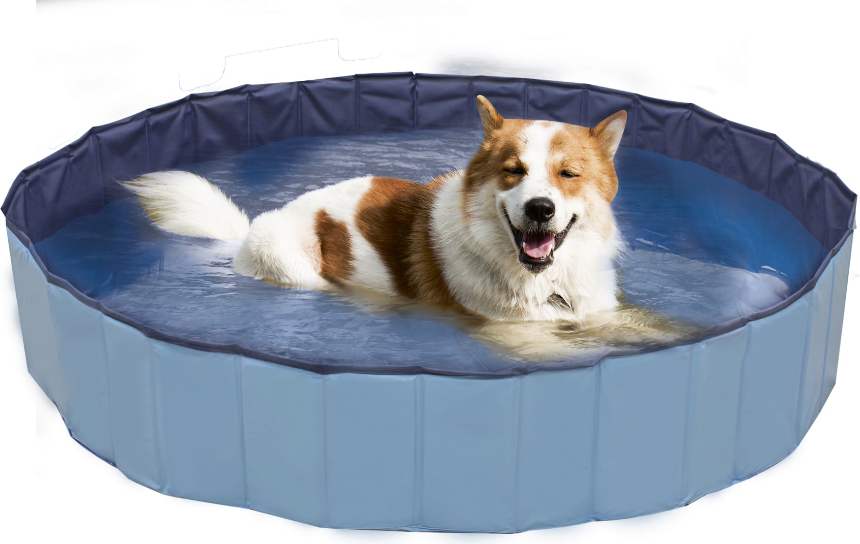 Croci Piscine "Explorer" pour Chien