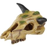 Europet Aqua Della Cattle Skull