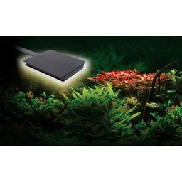 Fluval Plant Nano LED - 1 k.