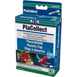 JBL PlaCollect - 1 kit