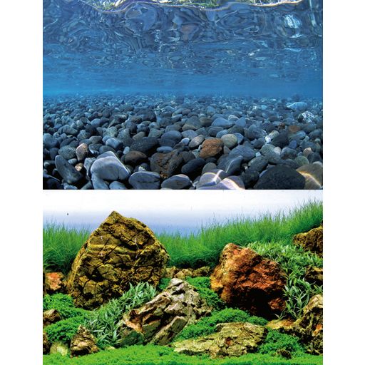 Amtra Poster de Fond d'Aquarium Vision
