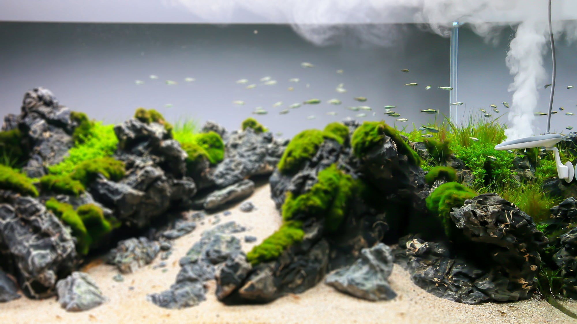 Twinstar Sterilisator Nano - NANO+