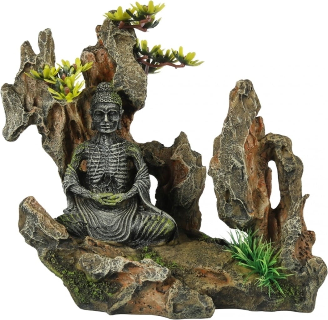 Europet Rock with Buddha