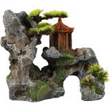 Europet Rock with Shrine