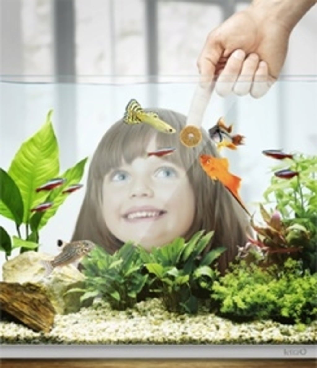 Tetra FunTips Tablets - M