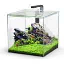 Aquatlantis Kubus 54 L LED-aquariumset
