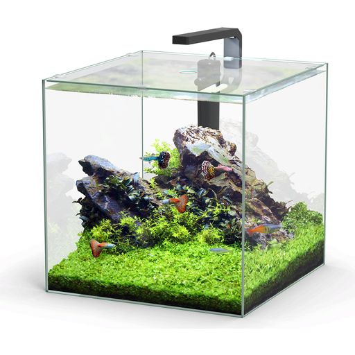 Aquatlantis Aquarium Complet Kubus 54 L LED - 1 kit