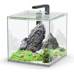 Aquatlantis Aquarium Complet Kubus 33 L LED
