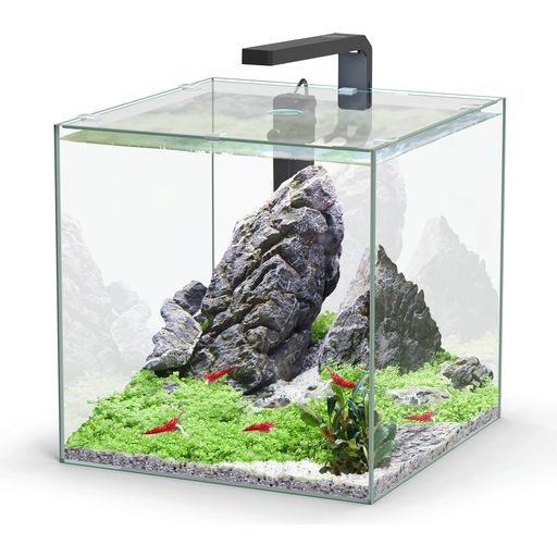 Aquatlantis Aquarium Complet Kubus 33 L LED - 1 kit