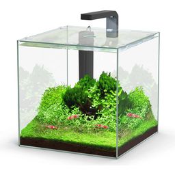 Aquatlantis Cubic 22 L LED-akvarium