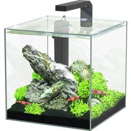 Aquatlantis Aquarium Complet Kubus 15 L LED - 1 kit