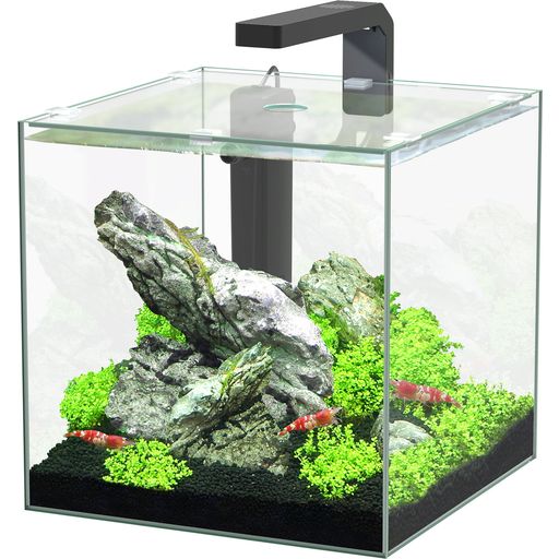 Aquatlantis Kubus 15 L LED-aquariumset - 1 Set