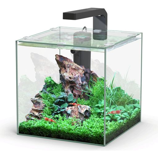 Aquatlantis Aquarium Complet Kubus 10 L LED - 1 kit