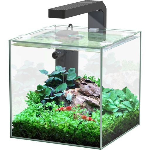 Aquatlantis Aquarium Complet Kubus 5 L LED - 1 pcs