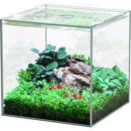 Aquatlantis Cube Glass - 5L