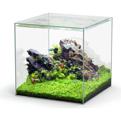 Aquatlantis Cube Glass